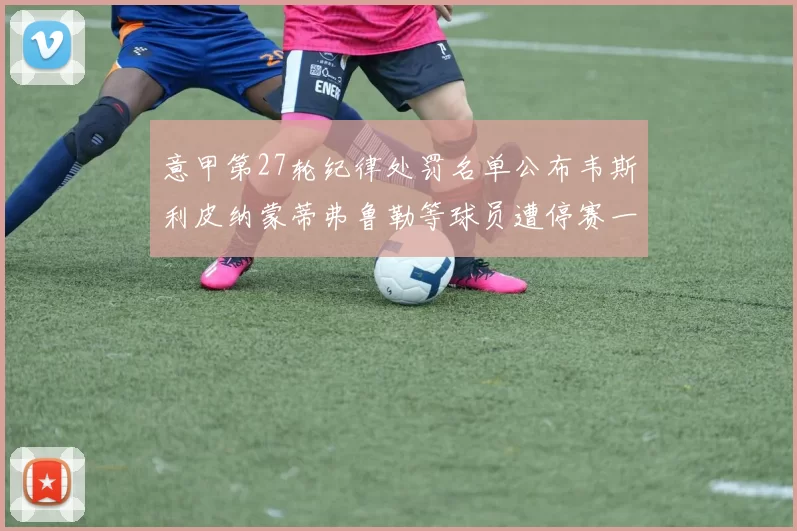 意甲第27轮纪律处罚名单公布韦斯利皮纳蒙蒂弗鲁勒等球员遭停赛一轮