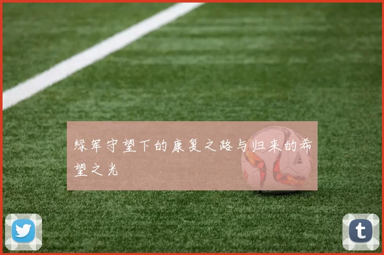 绿军守望下的康复之路与归来的希望之光